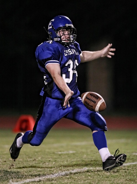 他们将在每 他们将在每